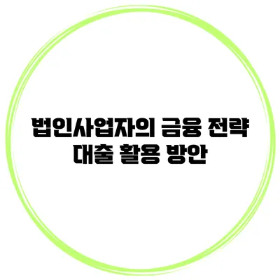 법인사업자의 금융 전략 대출 활용 방안