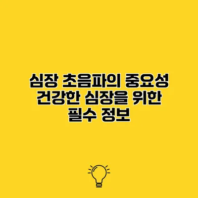 심장 초음파의 중요성 건강한 심장을 위한 필수 정보