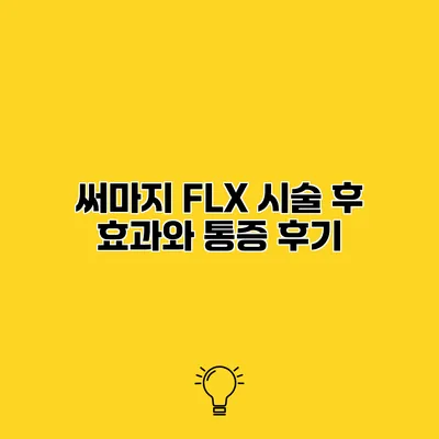써마지 FLX 시술 후 효과와 통증 후기