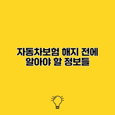 자동차보험 해지 전에 알아야 할 정보들